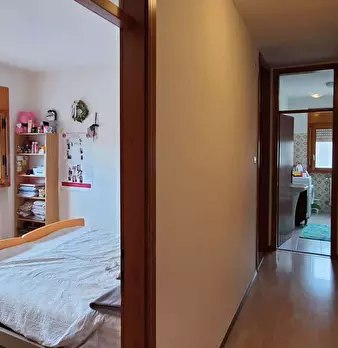Foto annuncio 11