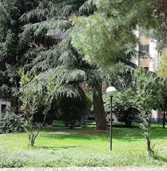 Foto annuncio 22