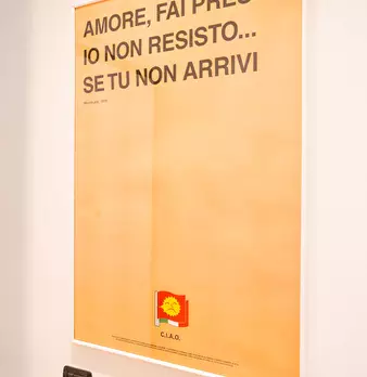 Foto annuncio 36