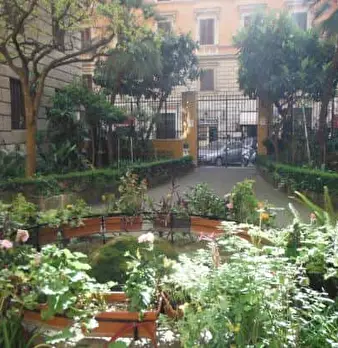 Foto annuncio 11