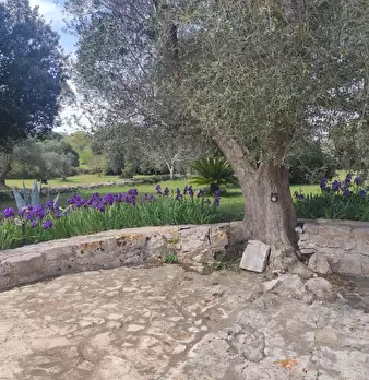 Foto annuncio 11
