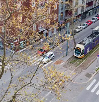 Foto annuncio 5