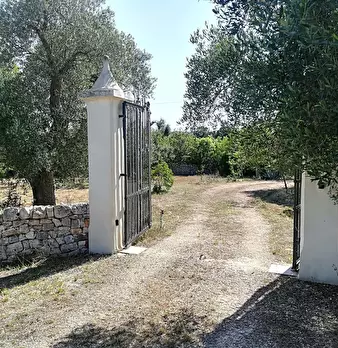 Foto annuncio 22