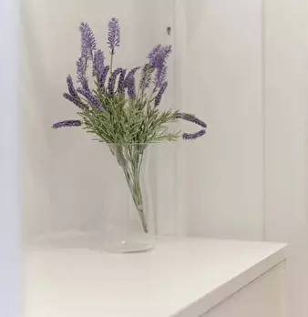 Foto annuncio 17