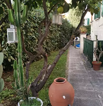 Foto annuncio 25