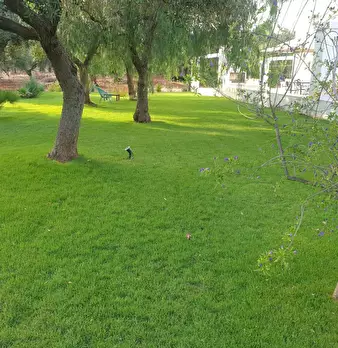Foto annuncio 7