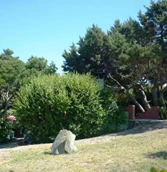 Foto annuncio 14
