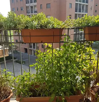Foto annuncio 16