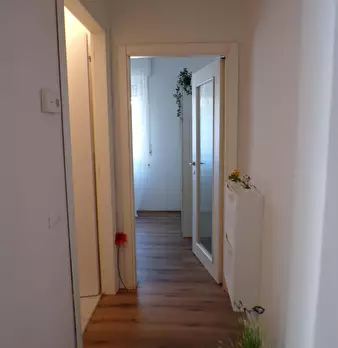 Foto annuncio 19
