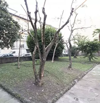 Foto annuncio 41