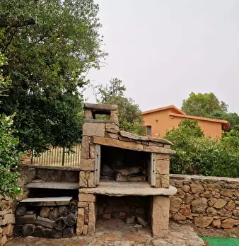 Foto annuncio 17