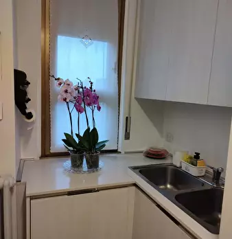 Foto annuncio 11