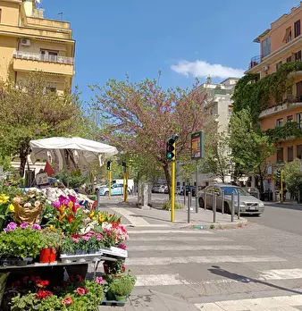 Foto annuncio 6