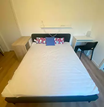 Foto annuncio 5