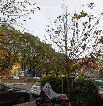 Foto annuncio 29