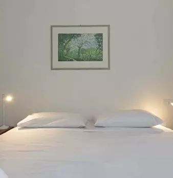 Foto annuncio 30