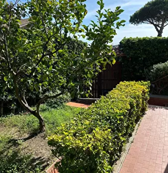 Foto annuncio 6