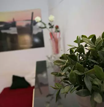 Foto annuncio 9