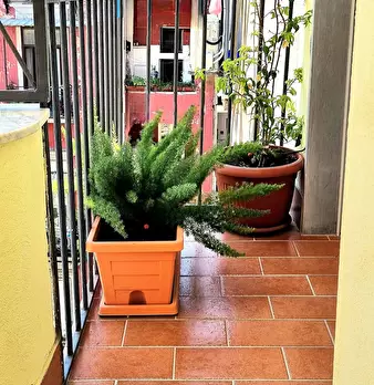 Foto annuncio 22