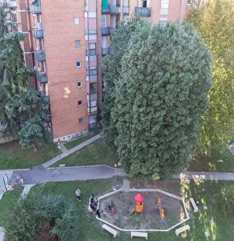 Foto annuncio 21