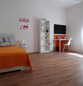 Foto annuncio 5