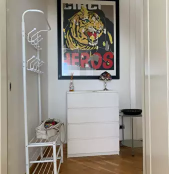 Foto annuncio 10