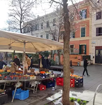 Foto annuncio 22