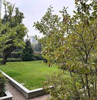 Foto annuncio 35