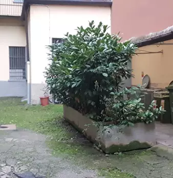 Foto annuncio 28