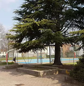 Foto annuncio 25