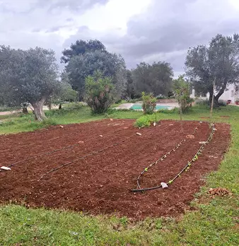 Foto annuncio 13