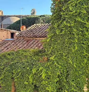 Foto annuncio 12