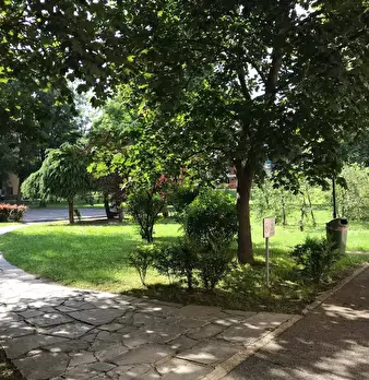 Foto annuncio 22
