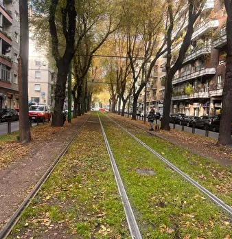 Foto annuncio 28