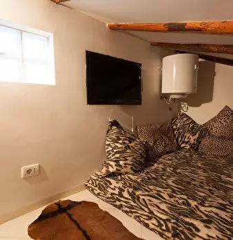 Foto annuncio 11