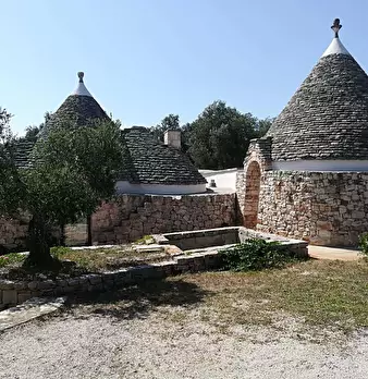 Foto annuncio 21