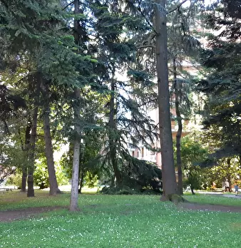 Foto annuncio 8