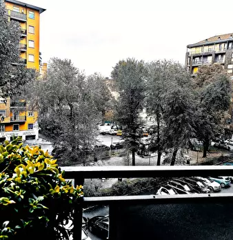 Foto annuncio 42