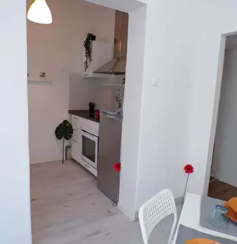 Foto annuncio 10