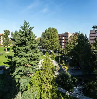 Foto annuncio 31