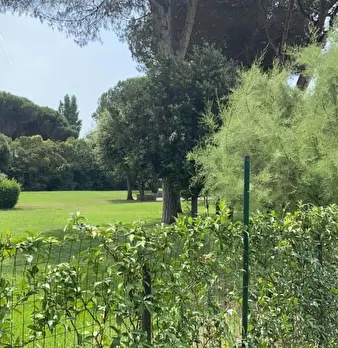 Foto annuncio 19