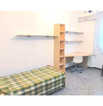 Foto annuncio 6