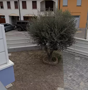 Foto annuncio 17