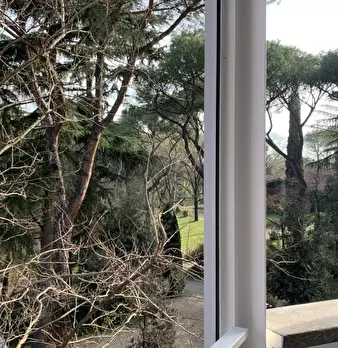 Foto annuncio 19