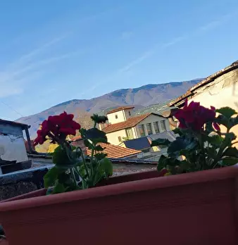Foto annuncio 11