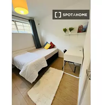 Foto annuncio 11