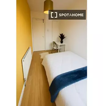 Foto annuncio 16