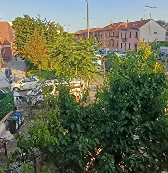 Foto annuncio 9