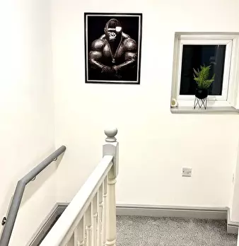 Foto annuncio 7