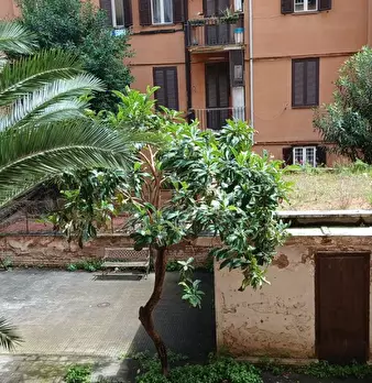 Foto annuncio 10